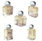 Komplekt Charrier Parfums "Secrets De Parfums" naistele: Jolie Valse EDP, 9,9 ml + Love Mysterious EDP, 10,5 ml + Melissa EDP, 9,9 ml + Miss Solena EDP, 9,9 ml + Veux-tu, 9,8 ml hind ja info | Naiste parfüümid | kaup24.ee