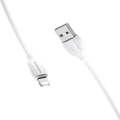 Borofone Benefit кабель USB - Lightning 1m цена и информация | Кабели и провода | kaup24.ee