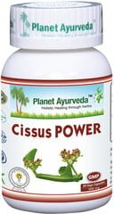 Кости, суставы, Cissus Power, Planet Ayurveda™, 60 капсул цена и информация | Витамины, пищевые добавки, препараты для хорошего самочувствия | kaup24.ee