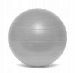 Гимнастический мяч SMJ Спорт GB-S1105 65см, серый цена и информация | Гимнастические мячи | kaup24.ee