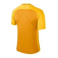 Спортивная футболка Nike Treeningsärk Dry Team Trophy III Jersey цена и информация | Мужская спортивная одежда | kaup24.ee