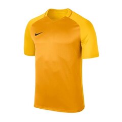 Спортивная футболка Nike Treeningsärk Dry Team Trophy III Jersey цена и информация | Мужская спортивная одежда | kaup24.ee