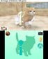 Nintendo 3DS Games mäng Nintendogs+Cats: French Bulldog цена и информация | Arvutimängud, konsoolimängud | kaup24.ee