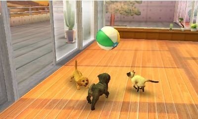 Nintendo 3DS Games mäng Nintendogs+Cats: French Bulldog цена и информация | Arvutimängud, konsoolimängud | kaup24.ee