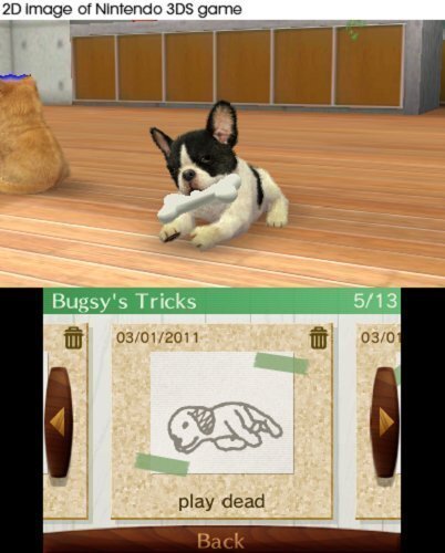 Nintendo 3DS Games mäng Nintendogs+Cats: French Bulldog цена и информация | Arvutimängud, konsoolimängud | kaup24.ee