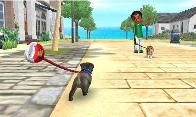 Nintendo 3DS Games mäng Nintendogs+Cats: French Bulldog цена и информация | Arvutimängud, konsoolimängud | kaup24.ee