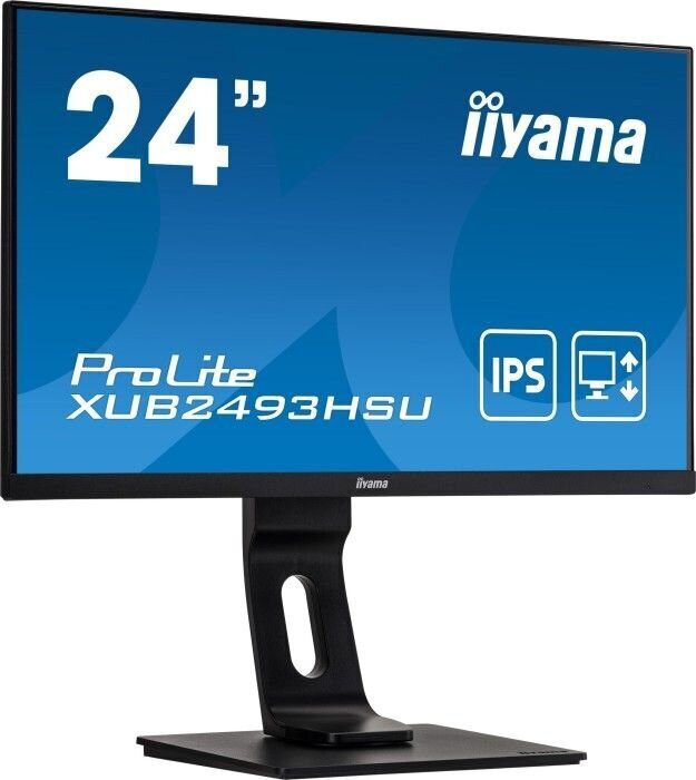Monitor Iiyama 443597 hind ja info | Monitorid | kaup24.ee