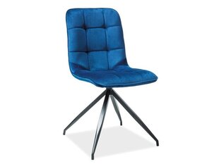 2 tooliga komplekt Signal Meble Texo, sinine hind ja info | Söögilaua toolid, köögitoolid | kaup24.ee