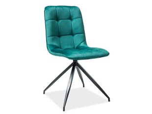 Комплект из 2-х стульев Signal Meble Texo, зеленый цена и информация | Стулья для кухни и столовой | kaup24.ee