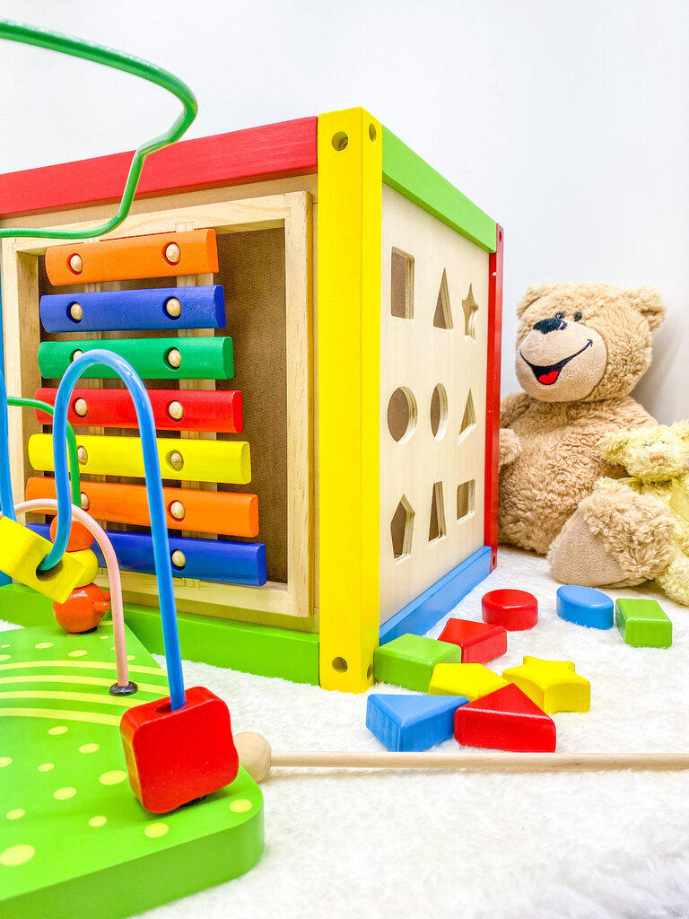 Puidust mänguasi Kuubik 4IQ hind ja info | Arendavad mänguasjad | kaup24.ee