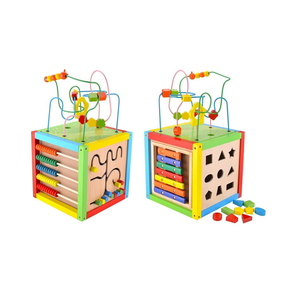 Puidust mänguasi Kuubik 4IQ hind ja info | Arendavad mänguasjad | kaup24.ee