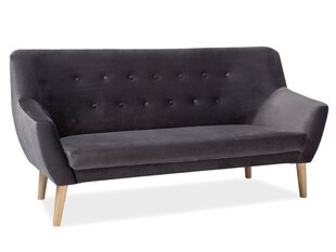 Трехместный бархатный диван Signal Meble Nordic 3, серый цена и информация | Диваны | kaup24.ee