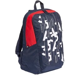 Sportlik seljakott Adidas Parkhood Gr FJ1124, 23,25 l, sinine цена и информация | Рюкзаки и сумки | kaup24.ee