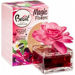 Suitsune dekoratiivne õhuvärskendaja Brait Lovely Sweet Berries, 75 ml hind ja info | Õhuvärskendajad | kaup24.ee