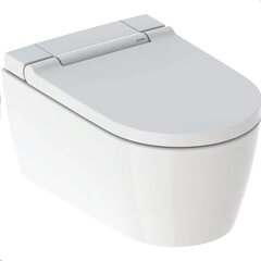 Nutikas seinale paigaldatav WC-pott Geberit AcuaClean Sela Rimless TurboFlush bideefunktsiooni ja aeglaselt sulguva kaanega 146.221.11.1 цена и информация | Унитазы | kaup24.ee