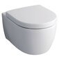 Seinale kinnitatav WC-pott aeglaselt suletava kaanega Geberit iCon Square 204060000/574130000 hind ja info | WС-potid | kaup24.ee