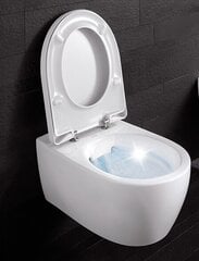 Seinale kinnitatav WC-pott aeglaselt suletava kaanega Geberit iCon Square 204060000/574130000 hind ja info | WС-potid | kaup24.ee