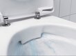 Seinale kinnitatav WC-pott aeglaselt suletava kaanega Geberit SELNOVA Rimfree 500.265.01.1/500.333.01.1 hind ja info | WС-potid | kaup24.ee
