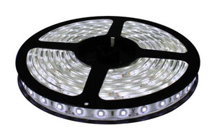 LED Riba Komplekt, külm valge 60LED/m, IP65, 3m, CW hind ja info | LED ribad | kaup24.ee