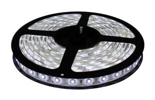 LED Riba Komplekt, külm valge 60LED/m, IP65, 5m, CW hind ja info | LED ribad | kaup24.ee