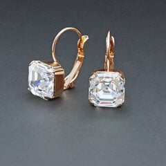 Kõrvarõngad naistele DiamondSky „Imperial“ Swarovski kristallidega цена и информация | Серьги | kaup24.ee