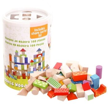 Puidust klotsid-sorteerija Ecotoys, 100-osaline hind ja info | Imikute mänguasjad | kaup24.ee