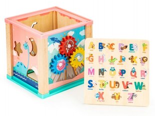 Деревянный образовательный куб Ecotoys Dino цена и информация | Игрушки для малышей | kaup24.ee