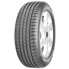 Goodyear EfficientGrip Performance 225/55R16 95 W цена и информация | Летняя резина | kaup24.ee