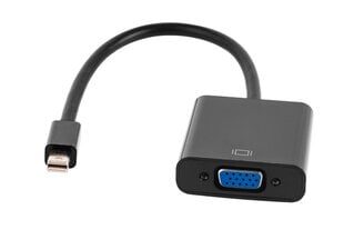 Cabletech KOM0848, Mini DP/VGA цена и информация | Адаптеры и USB-hub | kaup24.ee