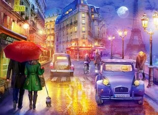 Пазл Night in Paris, 1000 шт. цена и информация | Пазлы | kaup24.ee