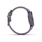 Garmin Lily™ sport edition Midnight Orchid : 010-02384-12 цена и информация | Nutikellad (smartwatch) | kaup24.ee