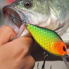 Воблер Banshee Crankbait 58 мм 9 г VKR01-58, зеленый цена и информация | Воблеры, приманки, блесны | kaup24.ee