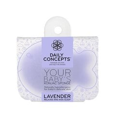 Губка для мытья Konjac Sponge с лавандой для малышей Daily Concepts цена и информация | Косметика для мам и детей | kaup24.ee