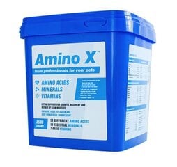 AminoX toidulisand loomadele 1500g цена и информация | Пищевые добавки и анти-паразитные товары | kaup24.ee