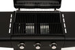 Grill Mustang Gas grill Albany 3 hind ja info | Grillid | kaup24.ee