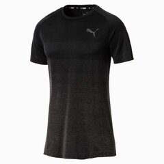 Мужская футболка Puma Evostripe evoKNIT Slim Fit, черная цена и информация | Мужская спортивная одежда | kaup24.ee