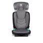 Turvatool Lionelo Neal I-Size Isofix, 15-36 kg, Grey Stone цена и информация | Turvatoolid | kaup24.ee