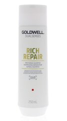 Šampoon kahjustatud juustele Goldwell Rich Repair Restoring Shampoo 250ml цена и информация | Шампуни | kaup24.ee