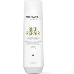 Šampoon kahjustatud juustele Goldwell Rich Repair Restoring Shampoo 250ml hind ja info | Šampoonid | kaup24.ee