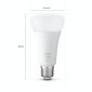 Valgusallikas Philips HueW 15.5W A67 E27 1P (100W equivalent) hind ja info | Lambipirnid, lambid | kaup24.ee