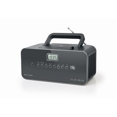 Muse Portable radio M-28DG USB port, AUX цена и информация | Магнитолы | kaup24.ee