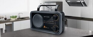 Muse M-06DS hind ja info | Raadiod ja äratuskellad | kaup24.ee