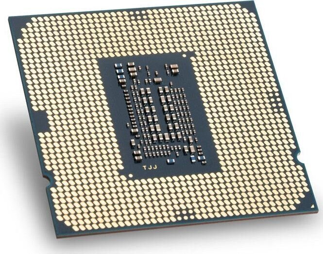 Intel Celeron G5925 hind ja info | Protsessorid (CPU) | kaup24.ee