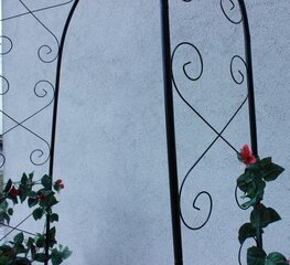 Garden Line metallist kaar taimedele, 110x39x230 cm цена и информация | Подставки для цветов, держатели для вазонов | kaup24.ee