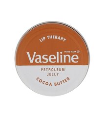 Huulepalsam Vaseline Cocoa Butter 20g цена и информация | Помады, бальзамы, блеск для губ | kaup24.ee