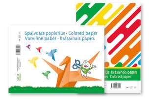 Värviline paber A4, 8 lehte hind ja info | Vihikud, märkmikud ja paberikaubad | kaup24.ee