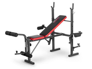 Тренировочная скамейка Neo-Sport NS-201  цена и информация | Скамьи для тренировок | kaup24.ee