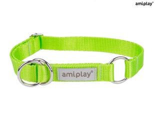 Полуавтоматический ошейник Amiplay Samba, XL, Green цена и информация | Ошейники, подтяжки для собак | kaup24.ee