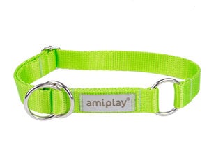 Amiplay poolpoov kaelarihm Samba, XL, Green hind ja info | Kaelarihmad ja traksid koertele | kaup24.ee