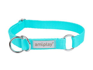 Amiplay cлип-ошейник Samba, XL, Turquoise цена и информация | Ошейники, подтяжки для собак | kaup24.ee
